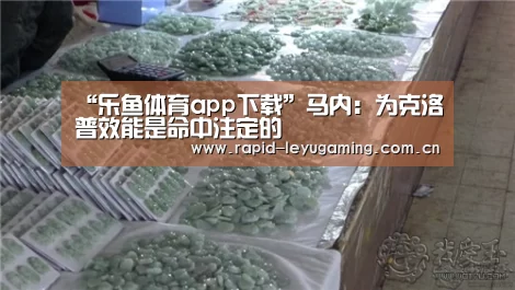 乐鱼网址