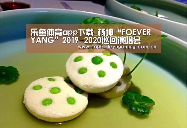 乐鱼体育app下载_杨坤“FOEVER YANG”2019-2020巡回演唱会(图1) 乐鱼