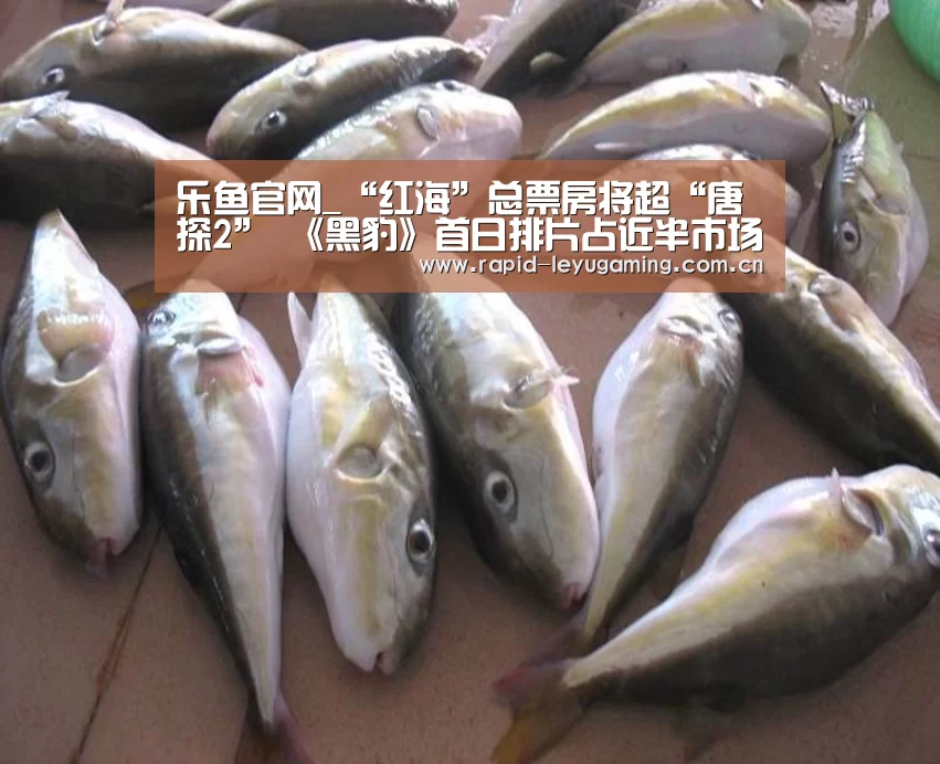 乐鱼网址